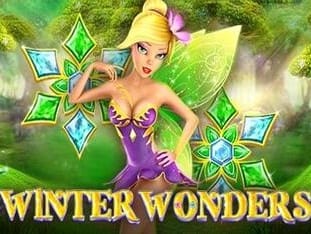 Winter Wonders